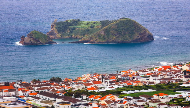 Observation d'oiseaux marins sur la côte de São Miguel - Photo 3