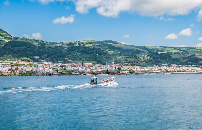 Observation d'oiseaux marins sur la côte de São Miguel - Photo 7