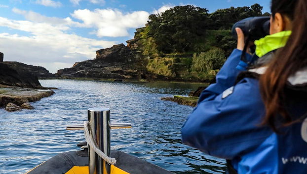 Navigando verso São Miguel