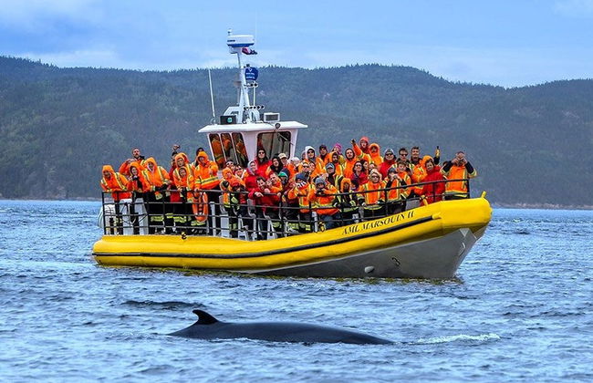 Balade en zodiac avec observation de baleines - Photo 2