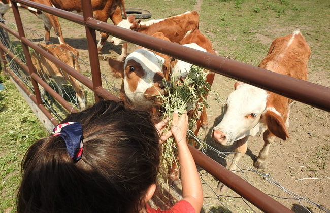 Visita a la estancia San Rafael - Foto 7