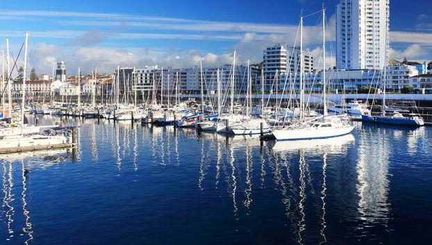 Balade en bateau au sud de São Miguel - Photo 3