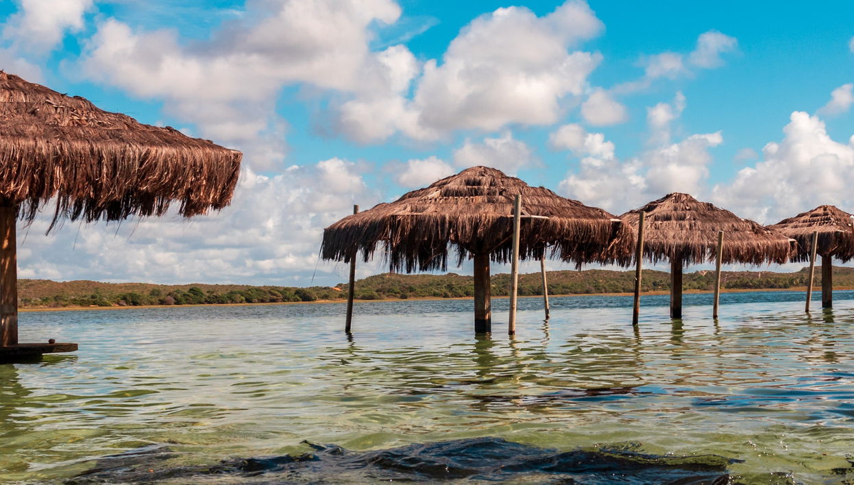 Excursión a la Lagoa dos Tambaquis