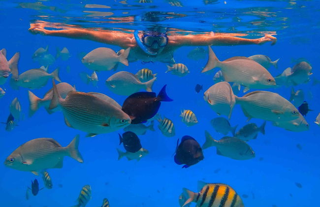 Cayo Acuario Day Trip - Foto 6