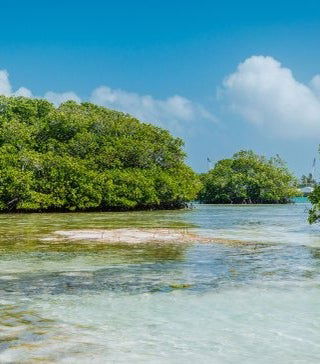 Foto de Excursión a Cayo Acuario