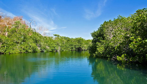 Excursion à Cayo Acuario - Photo 2
