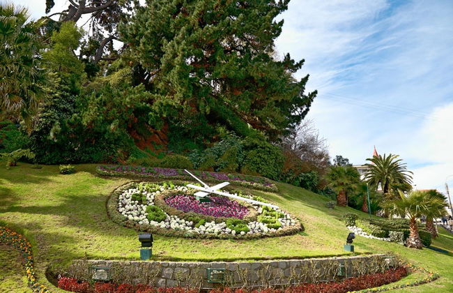 Visite panoramique de Valparaíso, Viña del Mar, Reñaca et Concón - Photo 3