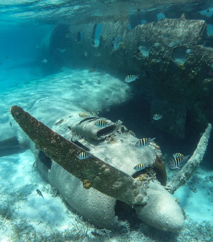 Foto de Excursión a las islas del Rosario