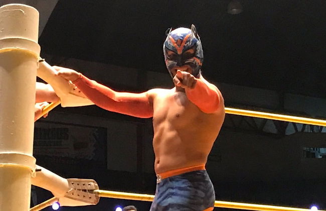 Espectáculo de lucha libre en Guadalajara - Foto 8