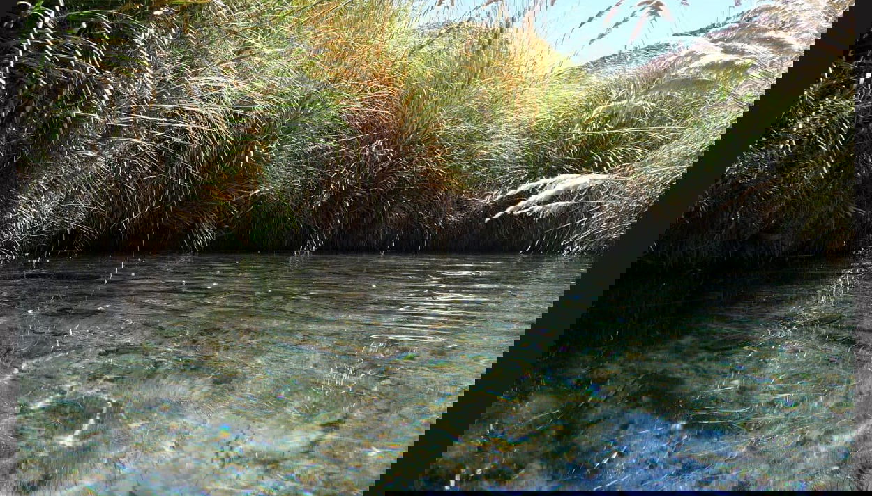 Excursión a las termas de Puritama - Foto 1