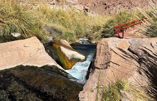 Excursión a las termas de Puritama - Foto 7