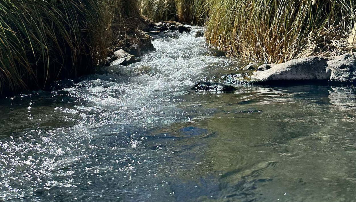 Excursión a las termas de Puritama - Foto 1