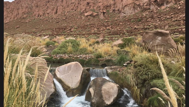 Excursión a las termas de Puritama - Foto 3