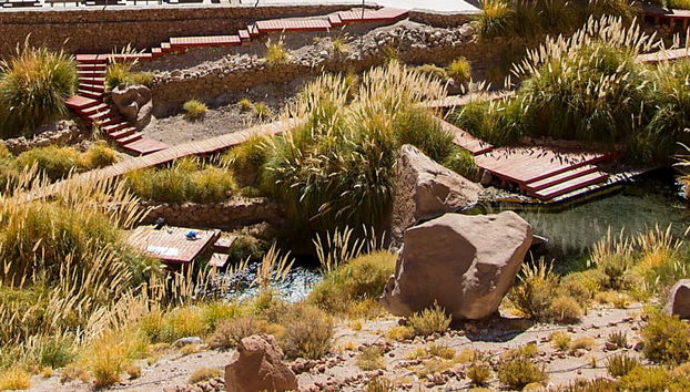 Excursión a las termas de Puritama - Foto 4