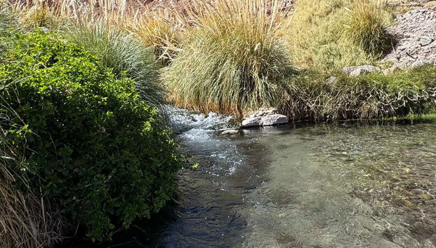 Excursión a las termas de Puritama - Foto 5