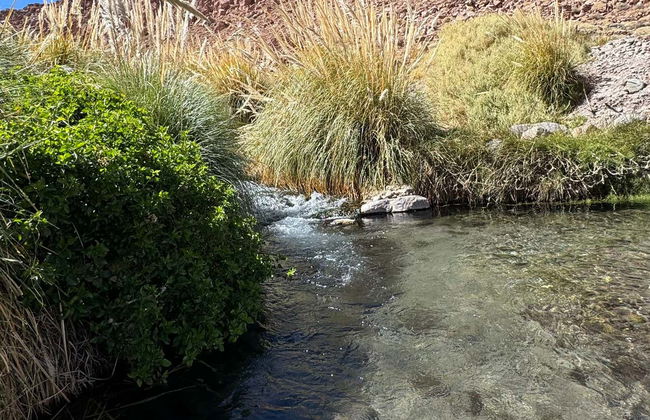 Excursión a las termas de Puritama - Foto 5