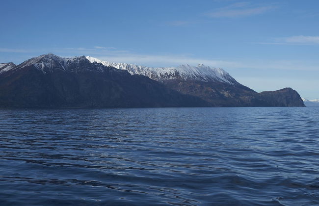 Whale Watching in Patagonia - Photo 7