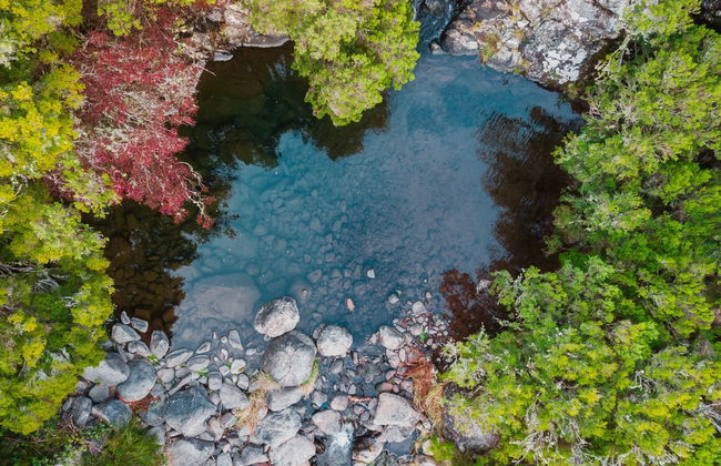 Lakes of Madeira Hiking Trip - Foto 1