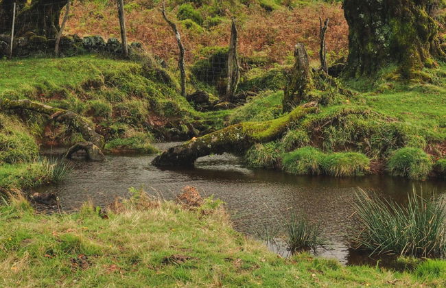 Lakes of Madeira Hiking Trip - Foto 3