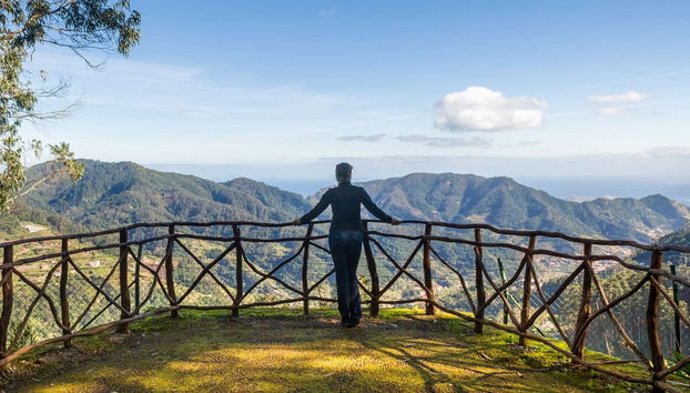Off-Road Tour of Santana, Pico del Aieiro, & Punta de São Lourenço - Foto 3