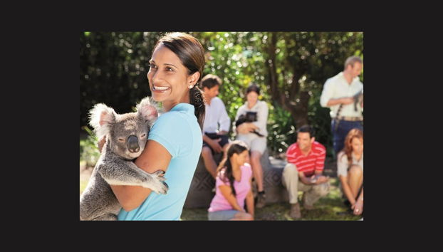 Excursión al Australia Zoo - Foto 3