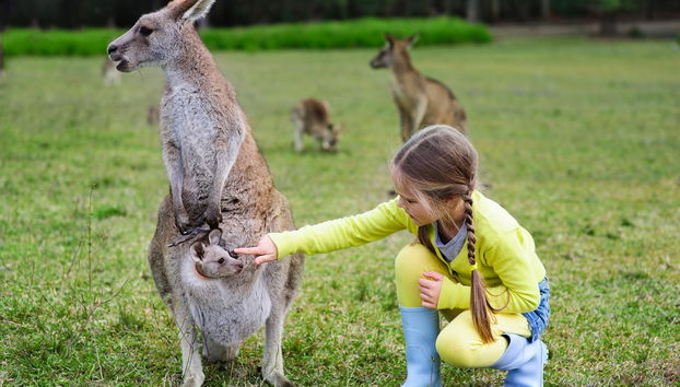Australia Zoo Experience - Photo 5
