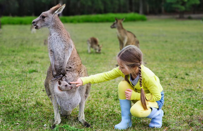 Australia Zoo Experience - Foto 5