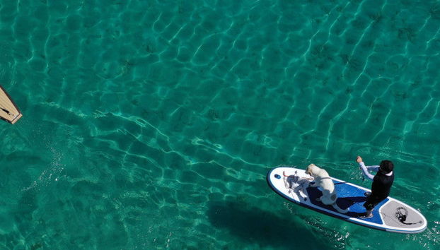 Paddle Surf Tour of Huasteca Potosina - Photo 4
