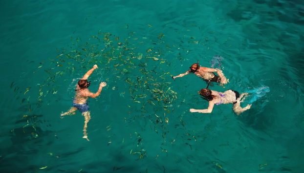 Snorkel en Koh Chang - Foto 3