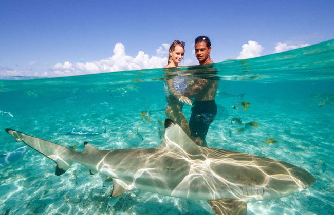 Bora Bora de 4x4 + Snorkel com tubarões - Foto 4