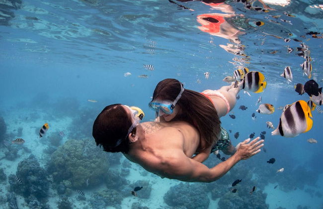 Bora Bora de 4x4 + Snorkel com tubarões - Foto 3