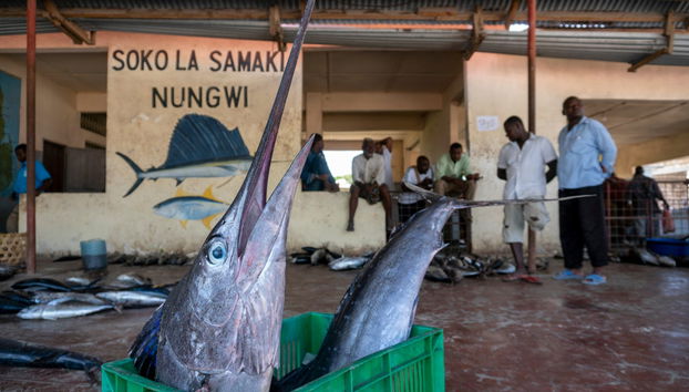 North Zanzibar Day Trip - Photo 3