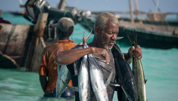 North Zanzibar Day Trip - Photo 4