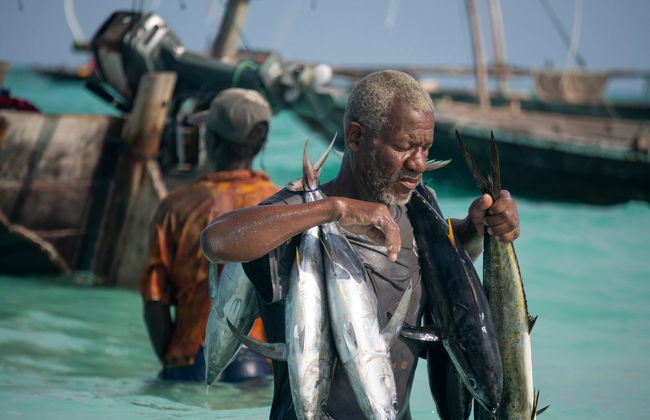 North Zanzibar Day Trip - Photo 4