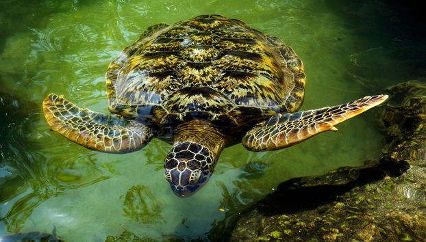 North Zanzibar Day Trip - Photo 5