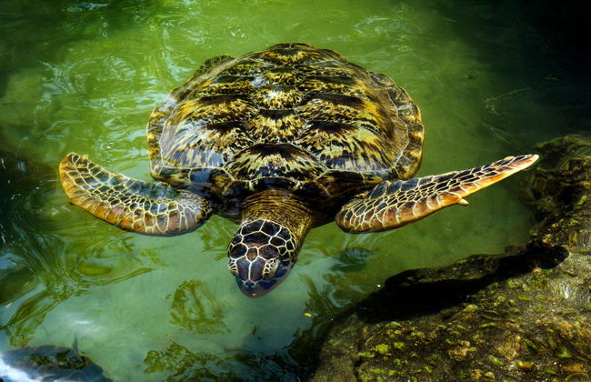 North Zanzibar Day Trip - Photo 5