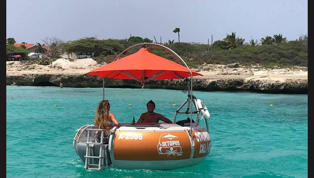 Vista del dónut barco