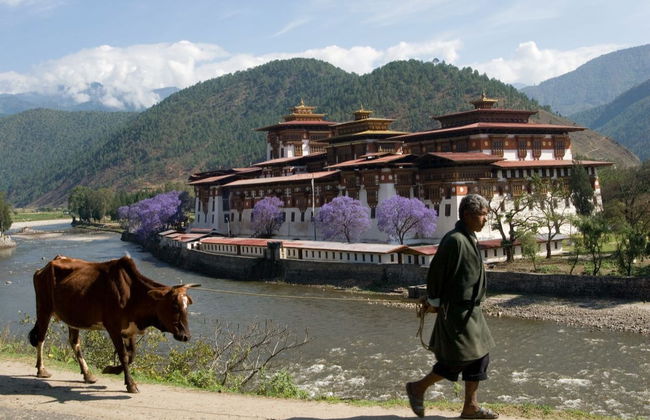 Bhutan 8 Day Private Tour - Photo 1