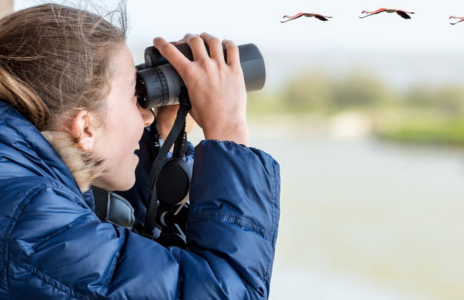 Avistamiento de aves en la Carretera Austral - Foto 8