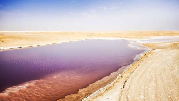 3-day Tour of El Djem, Douz & Kairouan - Foto 3