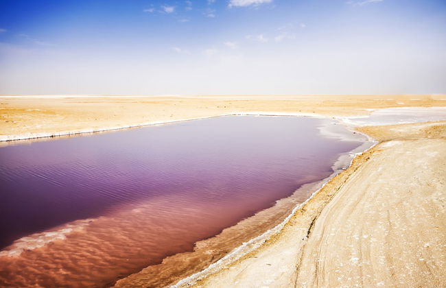 El Djem, Douz & Kairouan 2-Day Private Tour - Foto 4