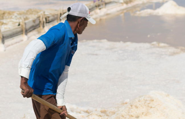 Excursión a las salinas de Manaure + Ranchería wayúu - Foto 4