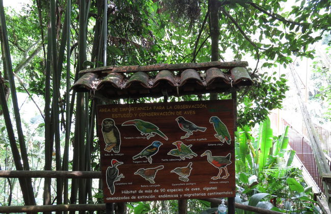 Excursión al Jardín Botánico del Quindío - Foto 4