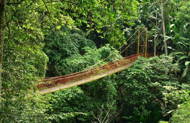 Tour pelo Jardim Botânico do Quindío - Foto 2