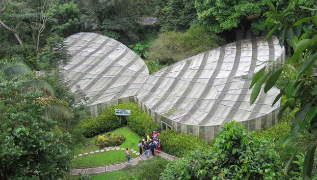 Botanical Garden of Quindío Tour - Foto 4