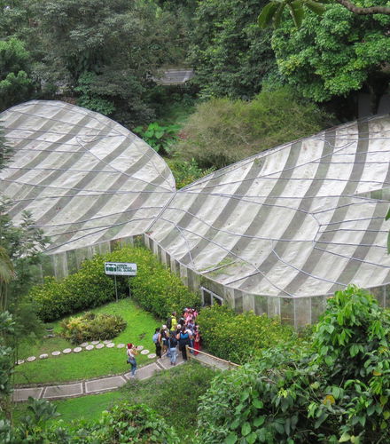 Foto de Excursión al Jardín Botánico del Quindío