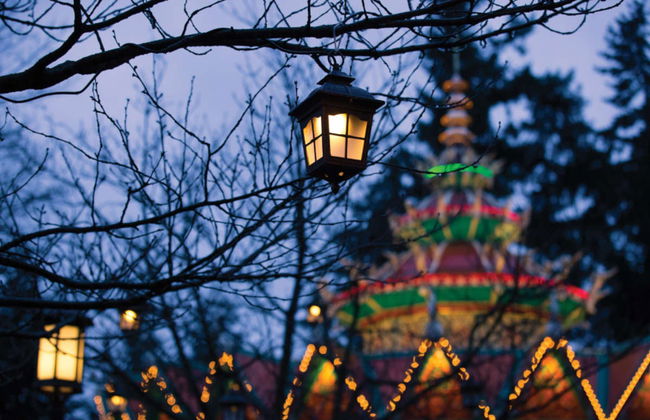 Biglietti per il parco tematico Efteling - Foto 3
