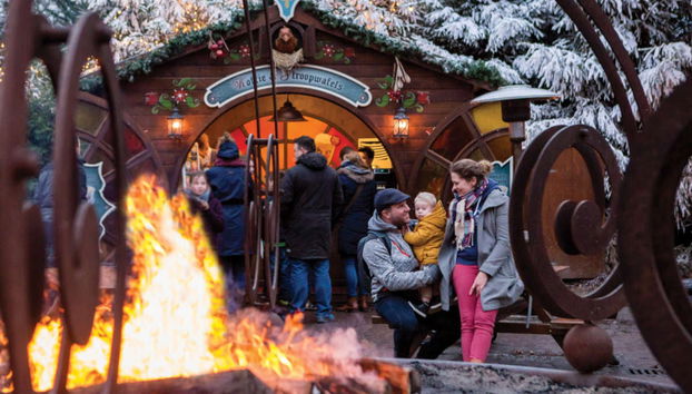 Biglietti per il parco tematico Efteling - Foto 2
