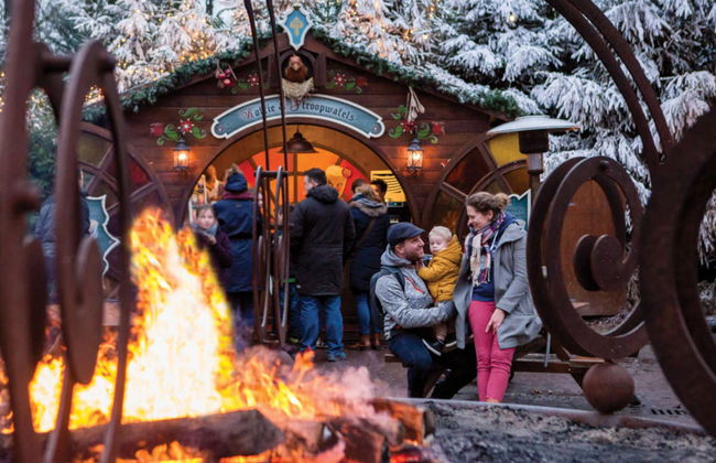 Biglietti per il parco tematico Efteling - Foto 2