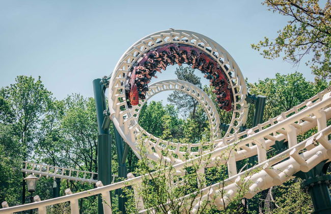 Efteling Theme Park - Photo 2